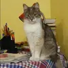 Отзыв от Альфия Котова